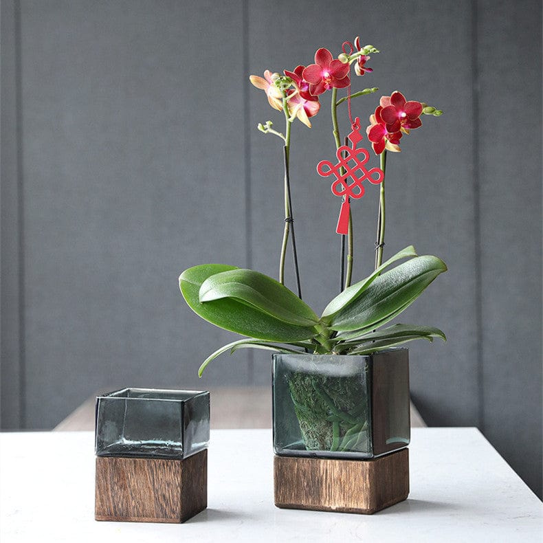 Vase en verre haut – charme vintage