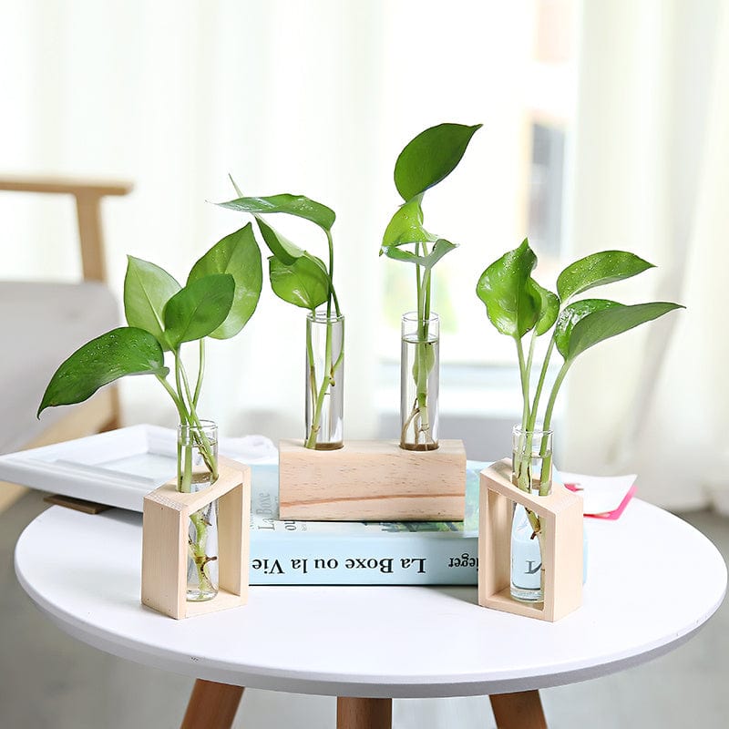 Vase en verre asymétrique – déco salon lumineux