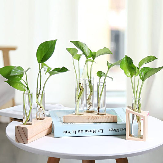 Vase en verre asymétrique – déco salon lumineux