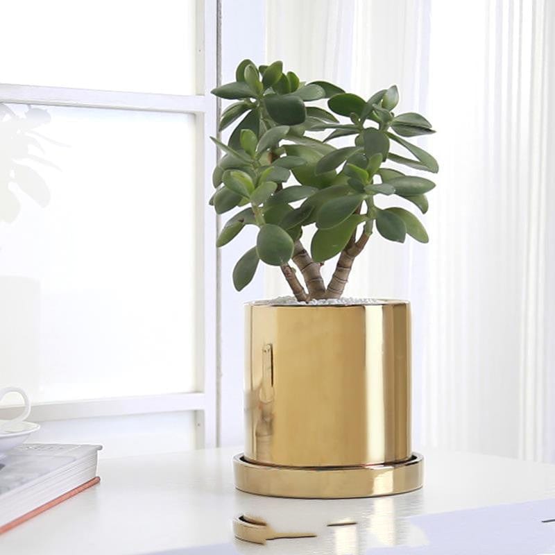 vase moderne – décoration intérieure 1100