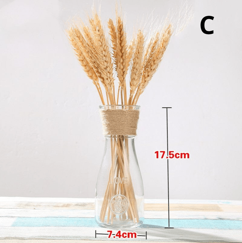 ElegantVase vase C Vase design en verre - touche artistique